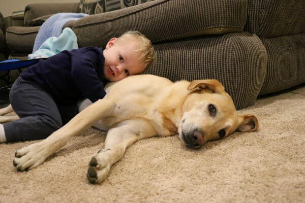 Convivencia-Perfeita-entre-Cachorros-e-Criancas